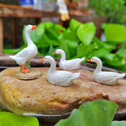 迷你小白鸭子动物摆件花园庭院，假山小水池阳台盆景盆栽造景装饰品