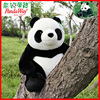 pandaway熊猫毛绒玩具仿真坐立大熊猫公仔玩偶生日礼物女孩礼物