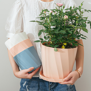 塑料花盆家用月季玫瑰专用盆大号绿萝仿陶瓷多肉加厚盆栽