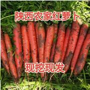 陕西水果红萝卜新鲜胡萝卜脆甜生吃红萝卜甜萝卜商超萝卜