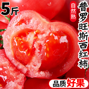 露天粉番茄西红柿5斤沙瓤普罗旺斯新鲜熟生吃铁皮水果大