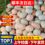 鸡蛋新鲜40枚正宗农家散养农村无抗草鸡蛋整箱柴乌绿壳土鸡蛋