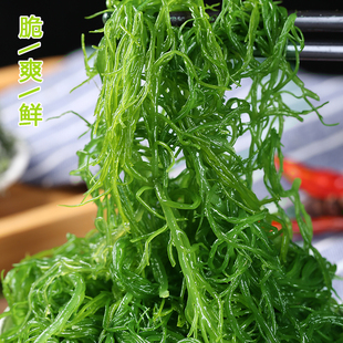 霞浦龙须菜新鲜盐渍火锅凉拌菜海发菜海藻石花菜鹿角菜海草5斤装