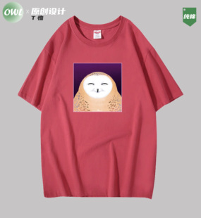 猫头鹰T恤卡通原创设计男女短袖OWL可爱纯色纯棉休闲圆领宽松