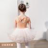 儿童舞蹈服夏季短袖女童练功服分体套装幼儿中国舞芭蕾舞纱裙女孩