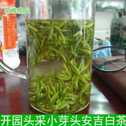 安吉白茶春茶散装 明前特级 2024年新茶叶250g 珍稀绿茶 芽尖