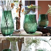 ins风创意小众餐桌客厅，装饰摆件插花绿色透明玻璃水养花瓶插绿植