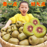 四川红心猕猴桃大果约5斤新鲜水果 礼盒包装孕妇放心吃蒲江奇异果