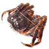 帝王蟹 海鲜3-7斤特大活冻皇帝蟹俄罗斯进口水产大螃蟹冰鲜长脚蟹