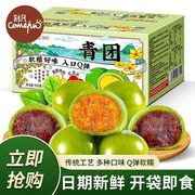 苏州特产美食沈记青团昆山正仪，艾草糕点葑门横街，蛋黄肉松包装礼盒