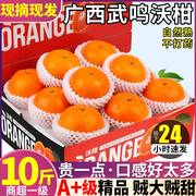 正宗广西武鸣沃柑10斤新鲜橘子当季水果一级皇帝蜜柑砂糖桔丑整箱