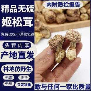 姬松茸干货云南土特产食用菌菇巴西菇野生姬松茸特级本色无硫500g