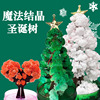 纸树开花圣诞树神奇浇水生长创意，魔法结晶树儿童，时玩具圣诞节礼物