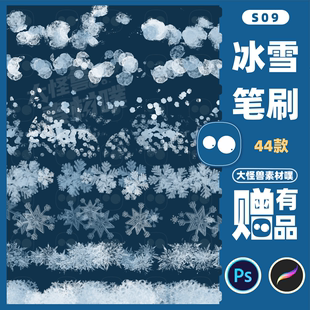 procreate笔刷ps笔刷冬天雪花，特效结冰下雪冰晶唯美雪景插画冰霜