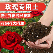 种玫瑰花专用土营养土，盆栽大马士革玫瑰花，土壤泥土种植土肥料蔷薇