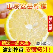 四川安岳黄柠檬皮薄当季新鲜水果香水甜青柠檬小金桔整箱