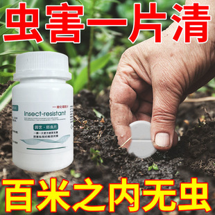 园艺防虫片糖化硼肥片绿植，花卉防虫颗粒园艺，驱虫片驱蚊虫防飞蚜虫