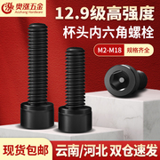 m2-m18全牙内六角螺丝，12.9级高强度圆柱头螺栓加长m2.5m3m4m5m6m8