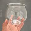 容器花盆缸共养水培瓶绿萝_塑料塑料水创意，器皿花瓶透明水培植物