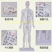 刻字工艺 经络人 针灸人体模型 针灸人 人体穴位模型 80CM 全白色