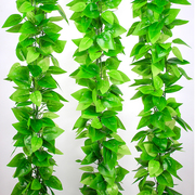仿真藤条绿萝叶假树叶室内空调水，管道装饰缠绕遮挡塑料花藤蔓绿叶