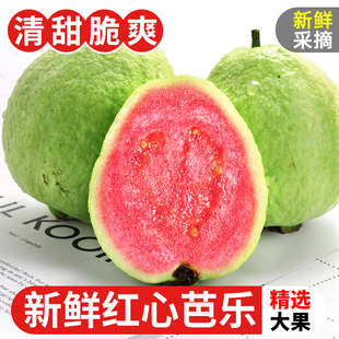 广西红心芭乐番石榴特产9斤新鲜水果，巴乐果红肉潘石榴(潘石榴)应当季