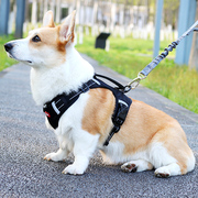 宠物胸背带狗狗遛狗绳牵引绳，柯基泰迪中型犬幼犬，背心式防爆冲项圈
