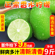 海南新鲜青柠檬，9斤皮薄多汁一级小青柠，香水绿色柠檬整箱9