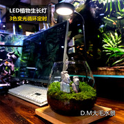 led植物灯鱼缸水草灯usb，循环定时调光，苔藓瓶微景观木板灯植物补光