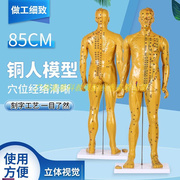 85cm超清晰经络通针灸铜，人体穴位模型中医针灸人，u体模型十二经络