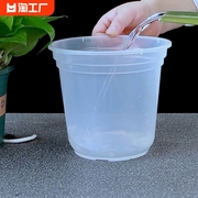 绿萝花盆自吸水透明套盆双层储水培塑料加仑高款免浇水阳台