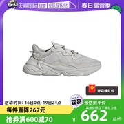 自营Adidas/阿迪达斯经典三叶草休闲男鞋女鞋板鞋FY2023