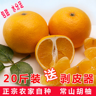 胡柚常山胡柚20斤 甜柚桔 新鲜水果 葡萄柚西柚 农家自种