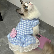 猫咪衣服公主蕾丝裙春秋装，薄款宠物可爱布偶，蓝猫小幼猫夏季防掉毛