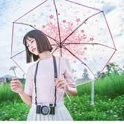 高档创意樱花透明雨伞三折叠晴雨伞，女生学生环保加厚伞下雨季遮雨