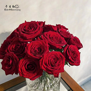 千日红娜欧米玫瑰红佛正红玫瑰鲜花，情人节花束北京同城20枝