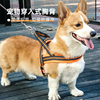 背心式遛狗狗牵引绳子胸背带柯，基法斗萨摩耶泰迪中型大型犬狗链子