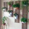墙上挂式装饰壁挂花架子免打孔吊绿萝墙壁花架客厅阳台植物悬