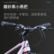 上海凤凰牌山地自行车男成人镁合金上班变速越野轻便学生减震