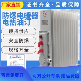 防爆电暖器9片11片2000W防爆电热油汀大功率加热器3KW取暖器220V
