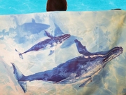 鲸鱼亲子款速干超薄浴巾，健身游泳沙滩休闲户外潜水均可便携不掉色