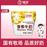 海河香蕉牛奶调制乳220ml*10袋装儿童学生上班族老人营养早餐牛奶