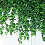 仿真爬山虎藤条装饰叶子树叶植物，塑料藤蔓假花绿植墙面绿叶水管子