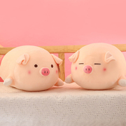 公仔抱枕被子两用超大号，巨型娃着睡觉男女朋友，高颜值可爱小猪礼物