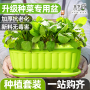 种菜盆神器家庭阳台塑料室内花盆小香葱生菜蔬菜种植盆种菜专用盆