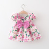 女宝宝裙子0-2-3岁4女童夏装1婴儿花朵衣服洋气6个月女童公主裙