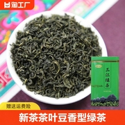 广西茶叶新茶三江绿茶250g罐装高山云雾春季明前茶叶豆香型