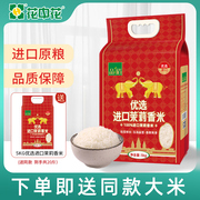 买一送一品稻优选进口茉莉香米5kg原粮进口 正宗泰国香米10斤