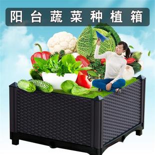 加厚台蔬菜种植箱种菜神器，塑料种菜盆花盆花槽种树箱组合花箱
