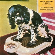 「SHUNA」这个插画家把他的狗送上了封面 美国原版复古明信片